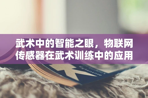 武术中的智能之眼，物联网传感器在武术训练中的应用与挑战？