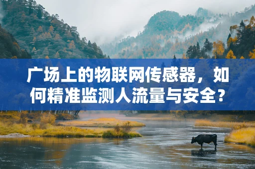 广场上的物联网传感器，如何精准监测人流量与安全？