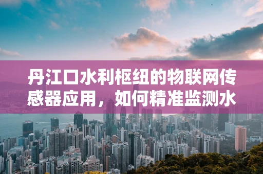丹江口水利枢纽的物联网传感器应用，如何精准监测水质与水量？