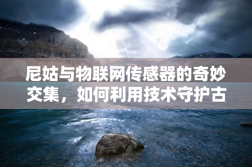 尼姑与物联网传感器的奇妙交集，如何利用技术守护古刹安宁？