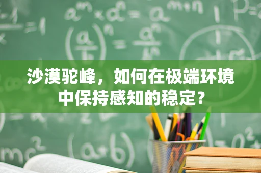 沙漠驼峰，如何在极端环境中保持感知的稳定？