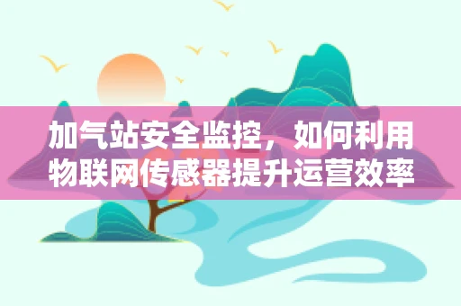 加气站安全监控，如何利用物联网传感器提升运营效率？