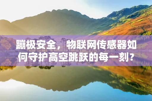 蹦极安全，物联网传感器如何守护高空跳跃的每一刻？