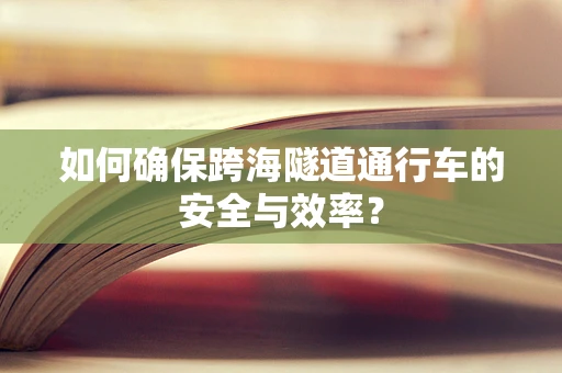 如何确保跨海隧道通行车的安全与效率？