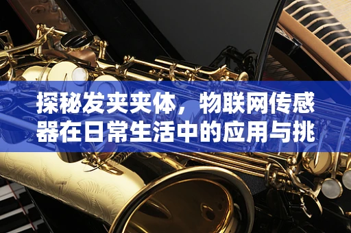 探秘发夹夹体，物联网传感器在日常生活中的应用与挑战