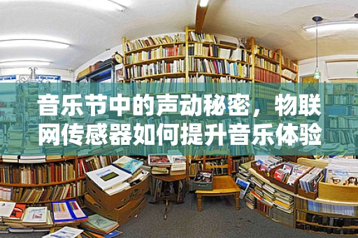 音乐节中的声动秘密，物联网传感器如何提升音乐体验？