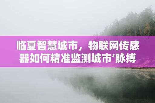 临夏智慧城市，物联网传感器如何精准监测城市‘脉搏’？