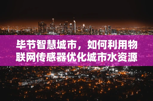 毕节智慧城市，如何利用物联网传感器优化城市水资源管理？