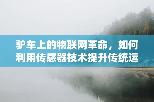驴车上的物联网革命，如何利用传感器技术提升传统运输效率？