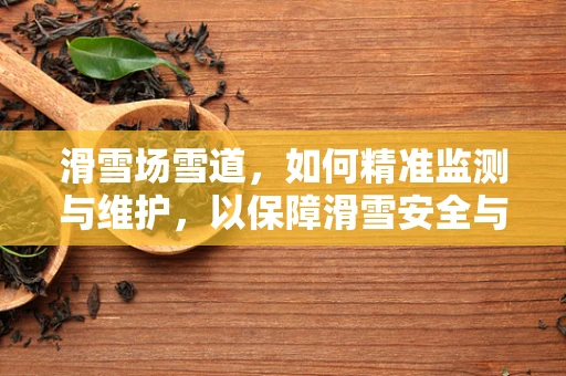 滑雪场雪道，如何精准监测与维护，以保障滑雪安全与体验？