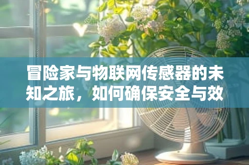 冒险家与物联网传感器的未知之旅，如何确保安全与效率？