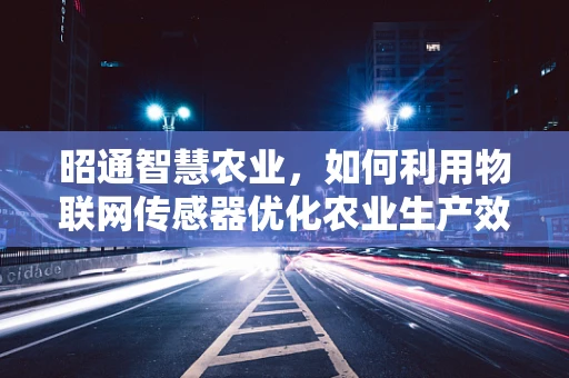 昭通智慧农业，如何利用物联网传感器优化农业生产效率？