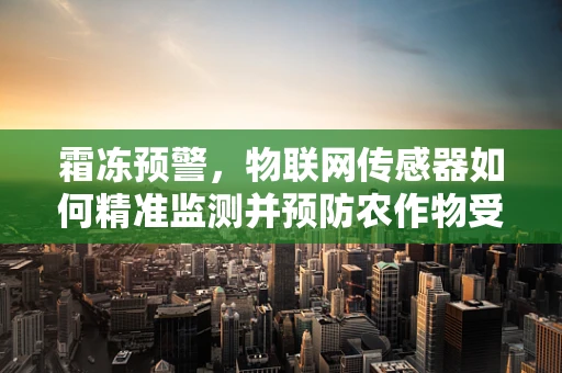 霜冻预警，物联网传感器如何精准监测并预防农作物受损？