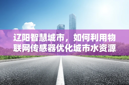 辽阳智慧城市，如何利用物联网传感器优化城市水资源管理？