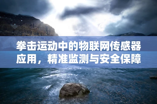 拳击运动中的物联网传感器应用，精准监测与安全保障的未来