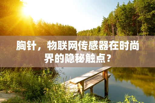 胸针，物联网传感器在时尚界的隐秘触点？