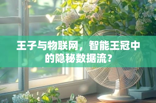 王子与物联网，智能王冠中的隐秘数据流？