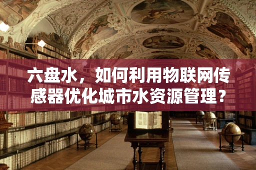 六盘水，如何利用物联网传感器优化城市水资源管理？