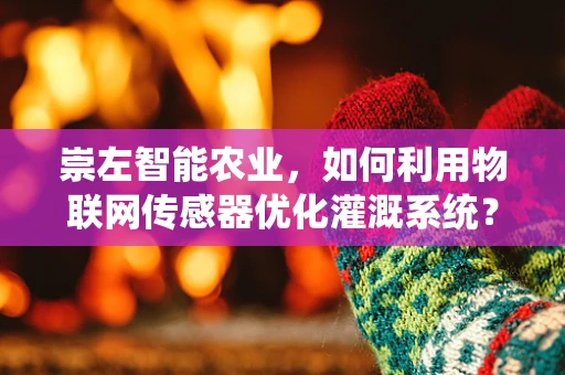 崇左智能农业，如何利用物联网传感器优化灌溉系统？