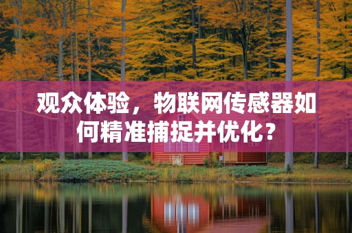 观众体验，物联网传感器如何精准捕捉并优化？