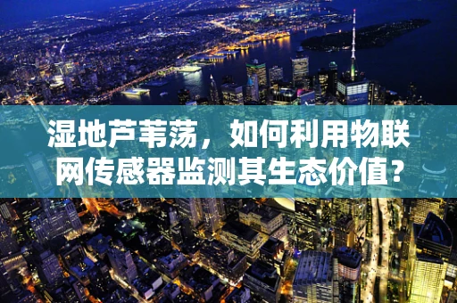 湿地芦苇荡，如何利用物联网传感器监测其生态价值？