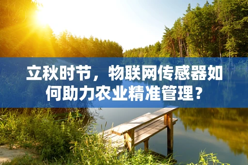 立秋时节，物联网传感器如何助力农业精准管理？