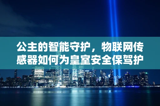 公主的智能守护，物联网传感器如何为皇室安全保驾护航？