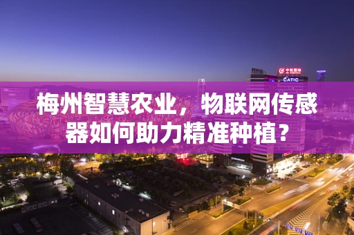 梅州智慧农业，物联网传感器如何助力精准种植？