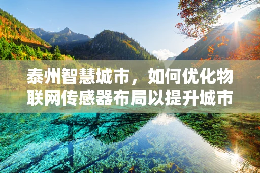 泰州智慧城市，如何优化物联网传感器布局以提升城市管理效率？