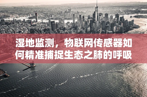 湿地监测，物联网传感器如何精准捕捉生态之肺的呼吸？