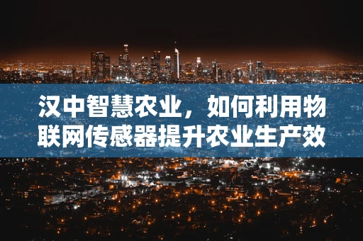 汉中智慧农业，如何利用物联网传感器提升农业生产效率？