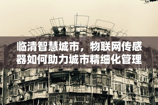 临清智慧城市，物联网传感器如何助力城市精细化管理？
