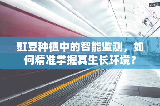 豇豆种植中的智能监测，如何精准掌握其生长环境？