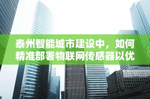 泰州智能城市建设中，如何精准部署物联网传感器以优化城市管理？
