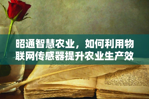 昭通智慧农业，如何利用物联网传感器提升农业生产效率？