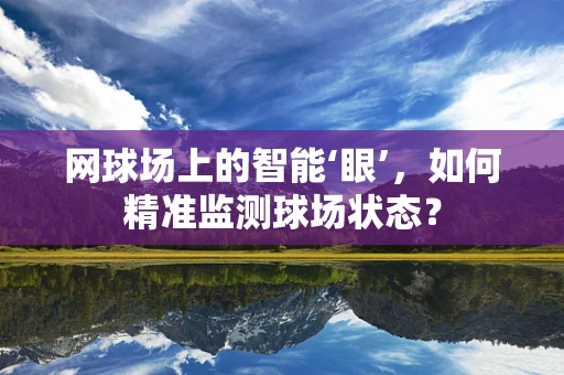 网球场上的智能‘眼’，如何精准监测球场状态？