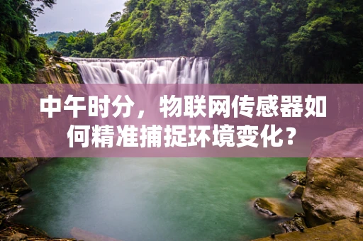 中午时分，物联网传感器如何精准捕捉环境变化？