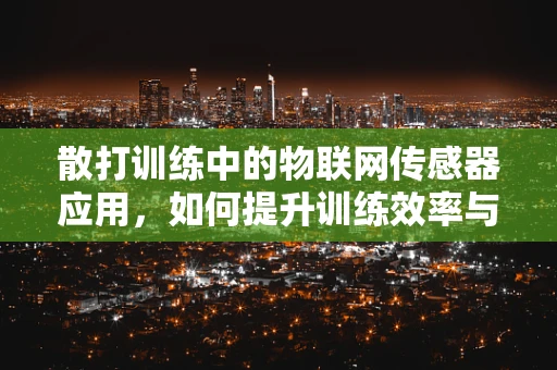 散打训练中的物联网传感器应用，如何提升训练效率与安全性？