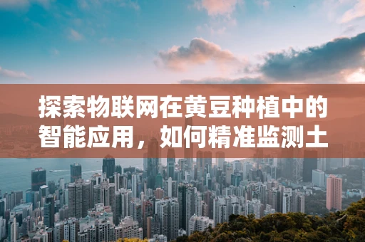 探索物联网在黄豆种植中的智能应用，如何精准监测土壤湿度以优化生长环境？