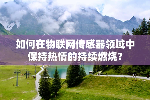 如何在物联网传感器领域中保持热情的持续燃烧？