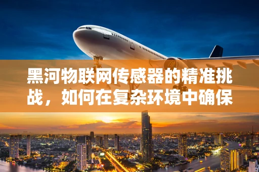 黑河物联网传感器的精准挑战，如何在复杂环境中确保数据准确性？