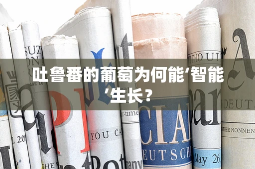 吐鲁番的葡萄为何能‘智能’生长？