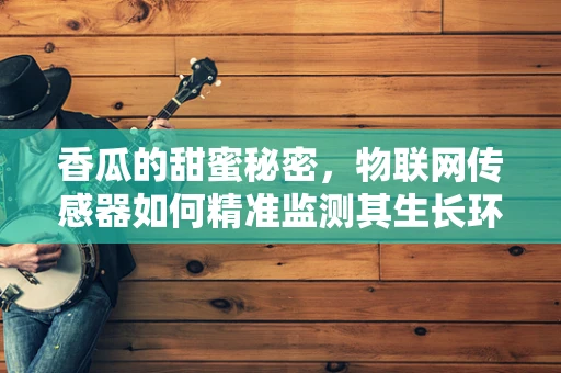 香瓜的甜蜜秘密，物联网传感器如何精准监测其生长环境？