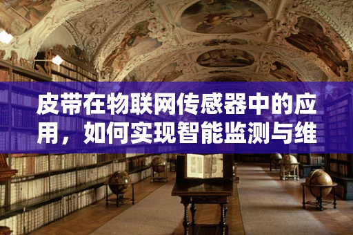 皮带在物联网传感器中的应用，如何实现智能监测与维护？