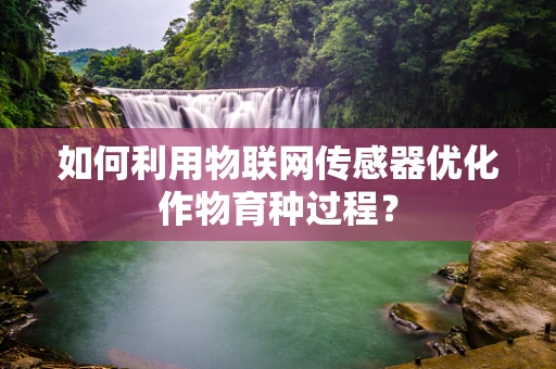 如何利用物联网传感器优化作物育种过程？