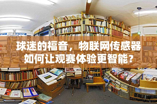 球迷的福音，物联网传感器如何让观赛体验更智能？