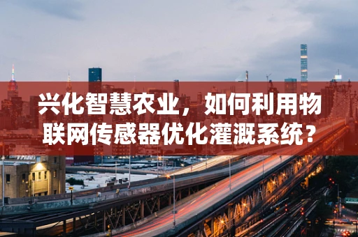 兴化智慧农业，如何利用物联网传感器优化灌溉系统？