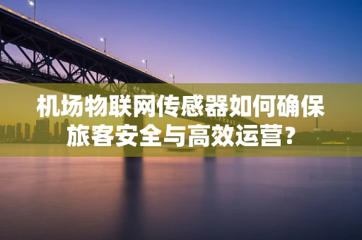 机场物联网传感器如何确保旅客安全与高效运营？