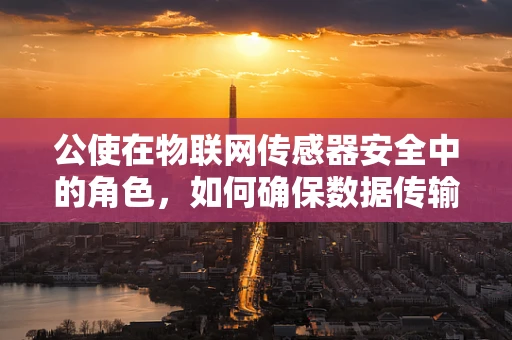 公使在物联网传感器安全中的角色，如何确保数据传输的‘外交’安全？