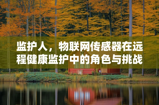 监护人，物联网传感器在远程健康监护中的角色与挑战